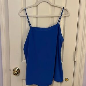 Naked Zebra Blue Top